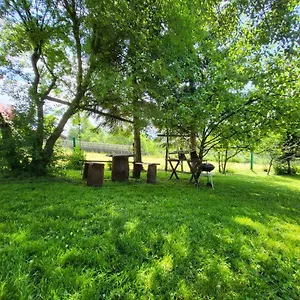 Zacisze Galicove Apartament