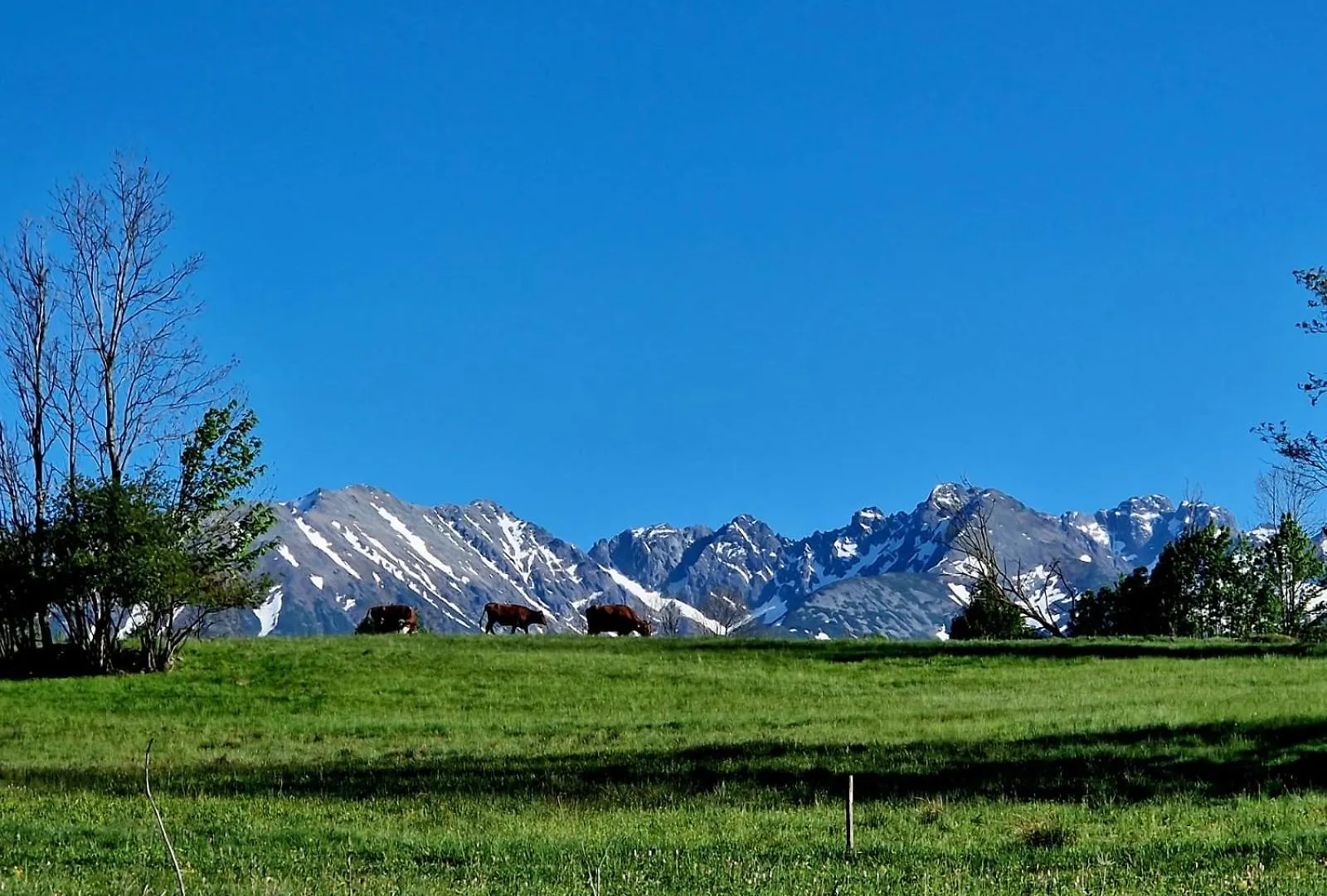 Homestay Zakopianski Zakatek Zakopane